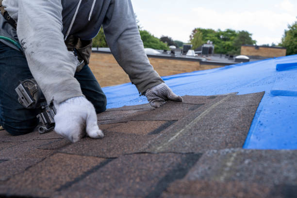 Best Flat Roof Repair Services  in Porters Neck, NC